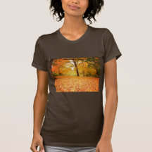 Autumn Leaves, Central Park, New York City T Shirt