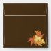 Back (Top Flap)