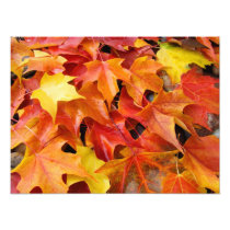 Autumn Leaves Colorful Photography Art Prints