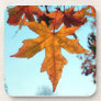 autumn leaves drink coaster