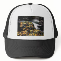 Autumn Leaves, Elk River, Oregon Trucker Hats