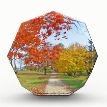 Autumn Leaves Fall awards