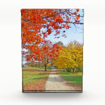 Autumn Leaves Fall awards