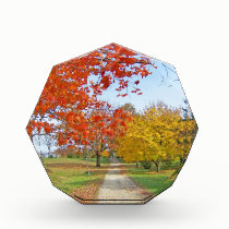 Autumn Leaves Fall awards