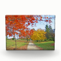 Autumn Leaves Fall awards