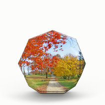 Autumn Leaves Fall awards