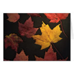 Autumn Leaves Greeting Card