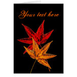 Autumn Leaves Greeting Cards