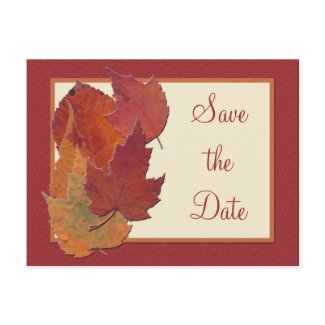 Autumn Leaves II Save the Date Postcard postcard