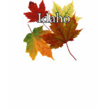 AUTUMN LEAVES IN IDAHO SHIRT