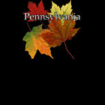 AUTUMN LEAVES IN PENNSYLVANIA