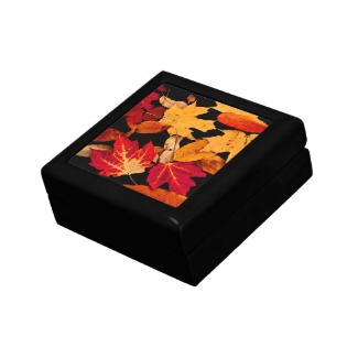 Autumn Leaves in Red Orange Yellow Brown