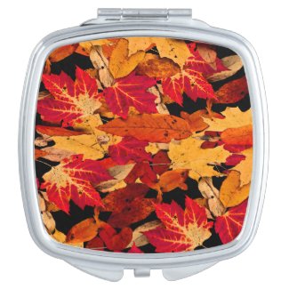 Autumn Leaves in Red Orange Yellow Brown