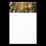 Autumn Leaves in the Morning Stationery