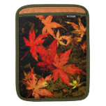acer laptop case | nature, autumn, falling, leaves, red, orange, nature, autumn, falling, leaves, red, orange,