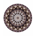 Autumn Leaves Kaleidoscope t-shirts