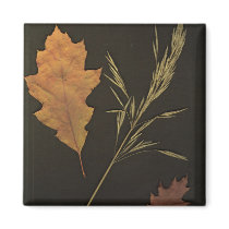 Autumn Leaves Magnet