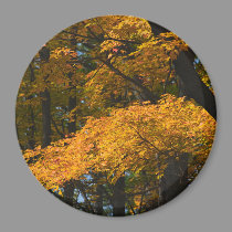 Autumn Leaves Magnet by nedell Autumn Leaves Magnet