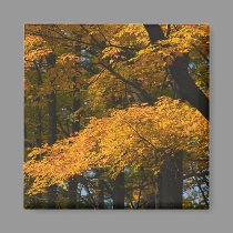 Autumn Leaves Magnet by nedell Autumn Leaves Magnet