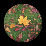 Autumn Leaves magnets