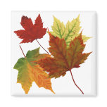 AUTUMN LEAVES FRIDGE MAGNET