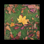 Autumn Leaves magnets