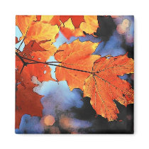 Autumn Leaves Magnet