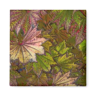 Autumn Leaves - Magnet #1 magnet