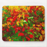 Autumn leaves mouse mats