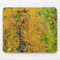 Autumn Leaves mousepads