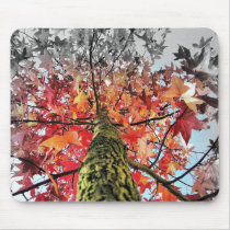 autumn leaves mouse pad