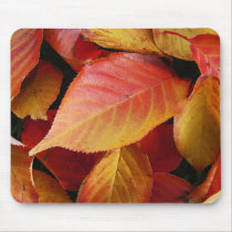 Autumn leaves mousepads