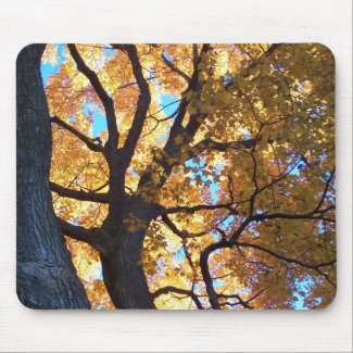 Autumn Leaves mousepad