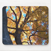 Autumn Leaves mousepads