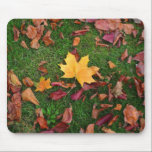 Autumn Leaves mousepads