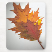Autumn Leaves Mouse Pad