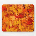 Autumn leaves mousepad