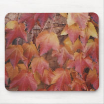 autumn leaves mousepads by VanessaWDesigns autumn leaves mousepads