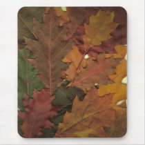 Autumn Leaves Mouse Pads
