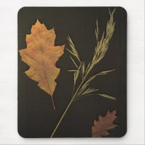 Autumn Leaves Mouse Pads
