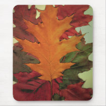 Autumn Leaves Mouse Mats