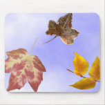 Autumn Leaves Mouse Mat
