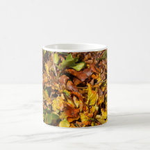 Autumn Leaves Mug