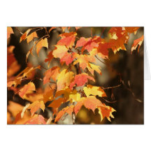 Autumn Leaves Notecards