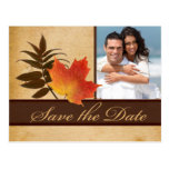 Autumn Leaves on Aged Paper Photo Save the Date Postcard