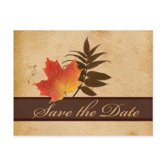 Autumn Leaves on Aged Paper Save the Date Card postcard