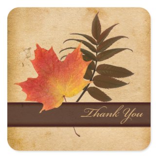 Autumn Leaves on Aged Paper Square Thank You sticker