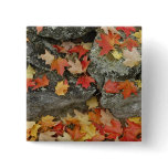Autumn leaves on stone wall, Minute Man Pin