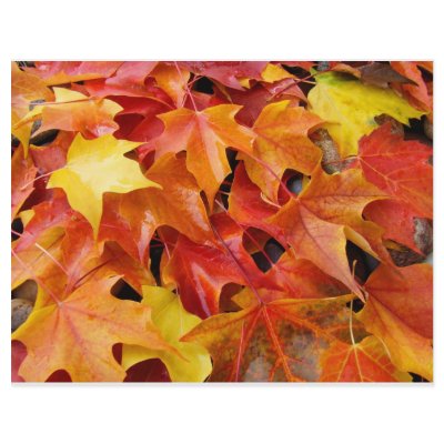 Autumn Leaves Orange Yellow Red Flyer Paper by Basleeartprintgifts