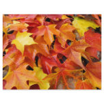 Autumn Leaves Orange Yellow Red Flyer Paper